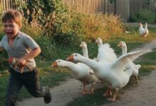 Photo of Страшилки из детства миллениалов: НЭН запустил новый проект