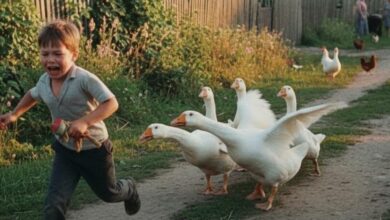 Photo of Страшилки из детства миллениалов: НЭН запустил новый проект